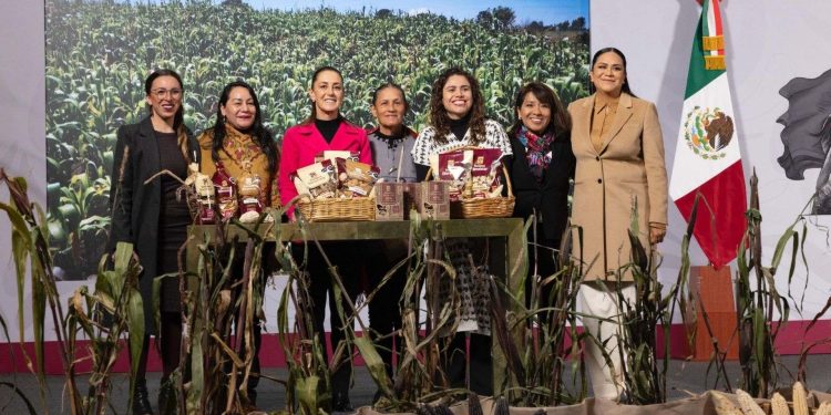 impulso al maíz nativo mexicano