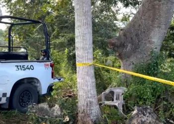 Narcofosa Leona Vicario