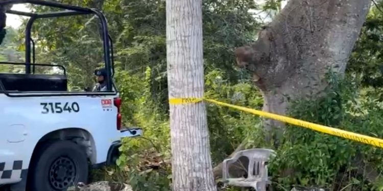 Narcofosa Leona Vicario