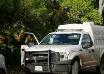 Hallan cadáver envuelto en bolsas negras en colonia irregular de Chetumal