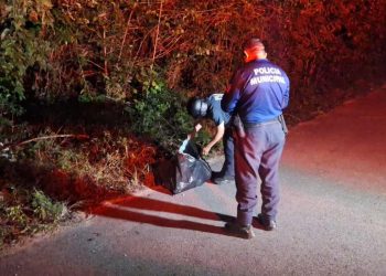 Falsa alarma: hallan bolsa con desechos sólidos tras reporte de cuerpo en Felipe Carrillo Puerto