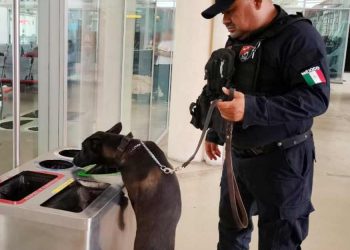 Refuerzan operativos de seguridad en Quintana Roo durante la temporada decembrina