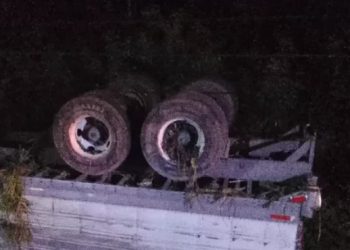 Volcadura de tráiler en carretera Xulhá-Bacalar deja rapiña de plátanos en Quintana Roo