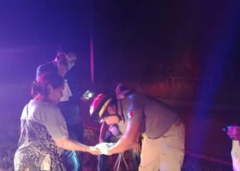 Tres adultos mayores resultan lesionados tras ser impactados y abandonados en la carretera Tulum-Playa del Carmen