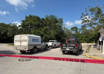 Hallan restos humanos en área verde de Cancún; autoridades inician operativo de seguridad