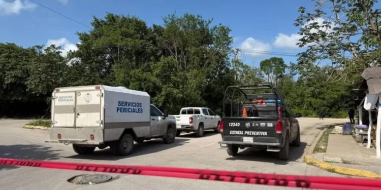 Hallan restos humanos en área verde de Cancún; autoridades inician operativo de seguridad