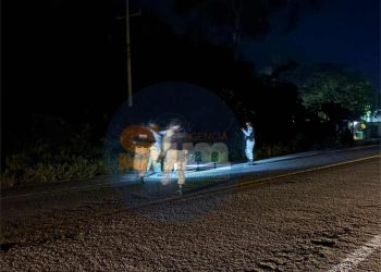Guardia Nacional localiza a hombre dormido entre la maleza en la carretera federal 307