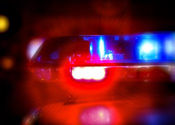 Hallan cuerpo en avanzado estado de descomposición en terracería de la zona Los Pájaros en Playa del Carmen