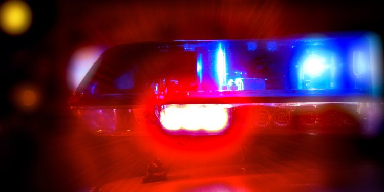 Hallan cuerpo en avanzado estado de descomposición en terracería de la zona Los Pájaros en Playa del Carmen