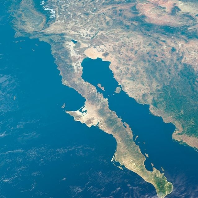 ¿Por qué la ONU cuestiona los megaproyectos en el Golfo de California?