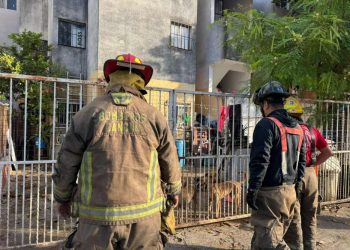 Denuncia por hacinamiento de perros y gatos moviliza a autoridades en la Supermanzana 95