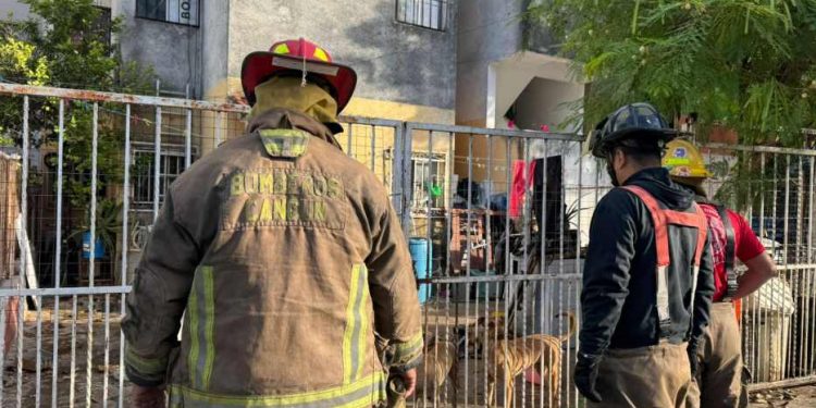 Denuncia por hacinamiento de perros y gatos moviliza a autoridades en la Supermanzana 95
