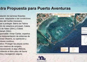 Analizan instalación de barreras flotantes para contener sargazo en Puerto Aventuras y Kantenah ante temporada crítica