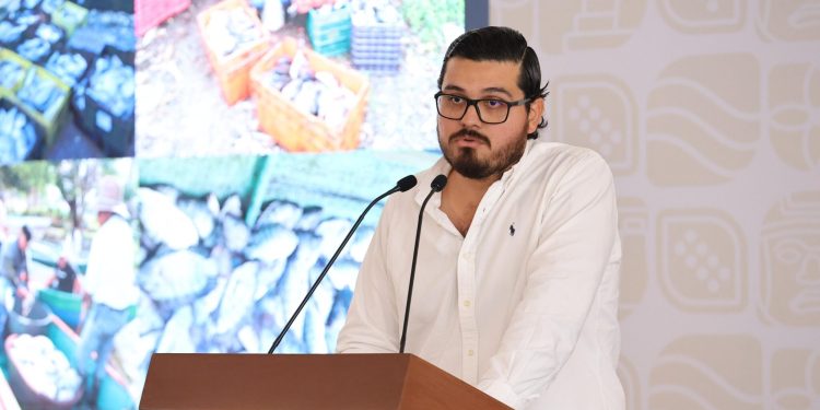 Pescando Vida sobrepasará en 2026 una producción de 3,600 toneladas de mojarra que se comercializarán en Tabasco y la región