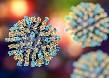 Tabasco reporta 15 casos de sarampión en 2026; se mantienen 75 casos probables bajo estudio