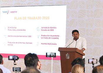 Tabasco avanza hacia la autosuficiencia alimentaria; Sembrando Vida Estatal producirá 30 millones de plantas de cultivos básicos y forestales