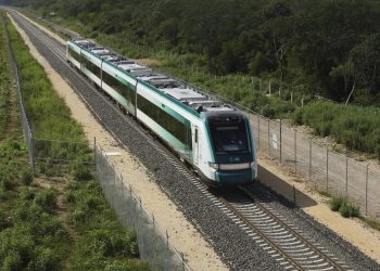 Puente del Tren Maya en Cancún requerirá cambio de uso de suelo en más de 68 hectáreas de selva