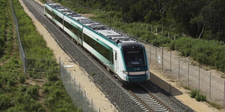Puente del Tren Maya en Cancún requerirá cambio de uso de suelo en más de 68 hectáreas de selva