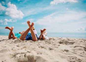 Todos los puentes en 2026