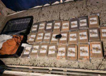 Aseguran presunta cocaína en el Aeropuerto Internacional de Cancún; hay un detenido