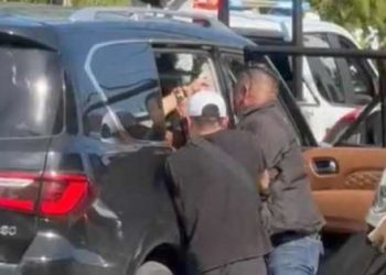 Detienen a presunto dueño de Dolphin Discovery tras forcejeo con la Guardia Nacional en Cancún