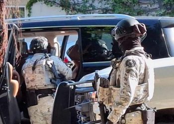 CDMX recibe a exdirectivo ligado a Dolphin Discovery tras captura en Cancún