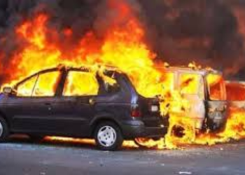 Reporte sobre el Operativo federal en Tapalpa