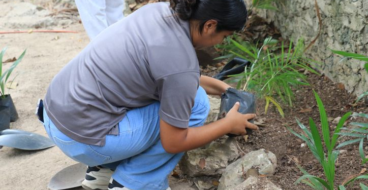Arboriza Cancún: Segunda Etapa en Escuelas Públicas
