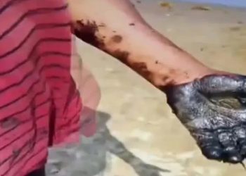 Denuncian presencia de chapopote en 16 puntos costeros de Veracruz y Tabasco; alertan daños a pesca y fauna