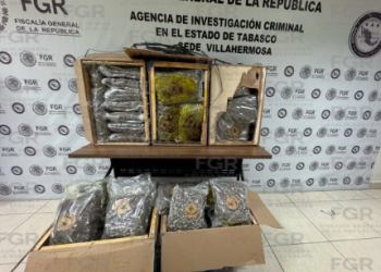 Aseguran 88 kilos de narcóticos en el puerto de Frontera, Tabasco y detienen a conductor