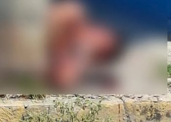 Vecinos de Gaviotas Norte golpean y amarran a presunto ladrón a un poste