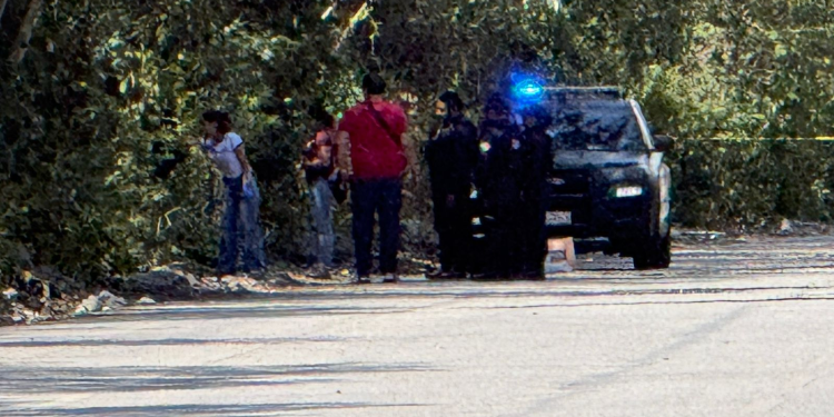 Cuerpo sin vida Selvanova: Alerta en Playa del Carmen