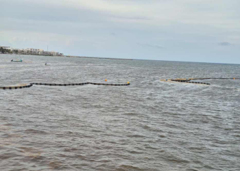 Sargazo Quintana Roo: Recale Anticipado 2026