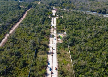 Desarrollo inmobiliario delitos ambientales Benito Juárez