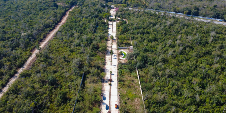 Desarrollo inmobiliario delitos ambientales Benito Juárez