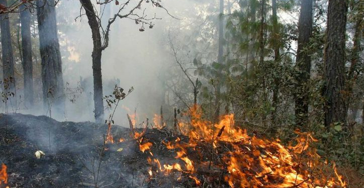 Quemas por lotificación irregular amenazan Cancún