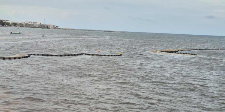 Sargazo Quintana Roo: Recale Anticipado 2026