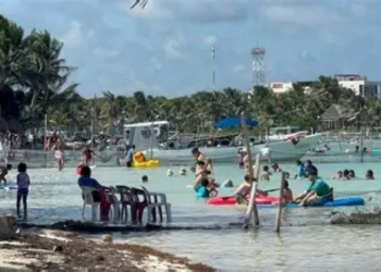 CPTQR Ignora Zona Sur de Quintana Roo