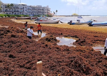 Sargacreto: Revolución en Obras Quintana Roo