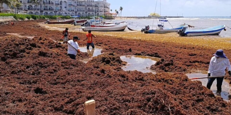 Sargacreto: Revolución en Obras Quintana Roo