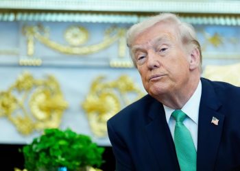 uso de la IA en Estados Unidos