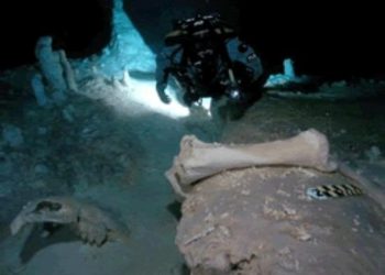 Hoyo Negro Tulum: Daños por buzos ilegales denunciados