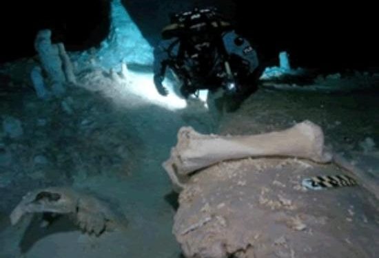 Hoyo Negro Tulum: Daños por buzos ilegales denunciados