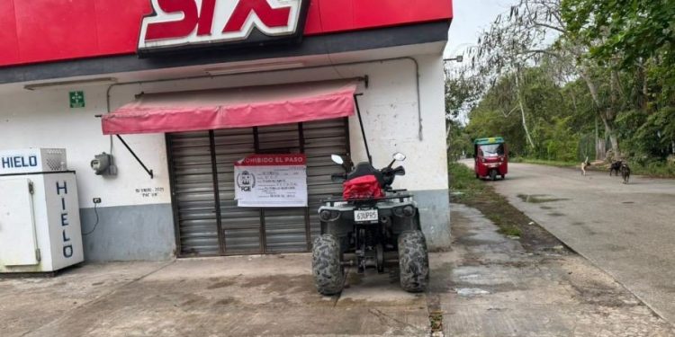 Cateo Leona Vicario Puerto Morelos sorprende a todos