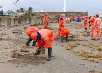 Tras el derrame ahora llega el sargazo a Coatzacoalcos
