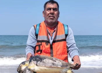 Juez ordena a Profepa frenar daños por derrame