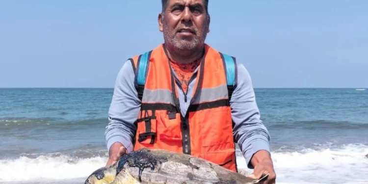 Juez ordena a Profepa frenar daños por derrame