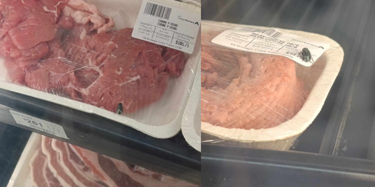 Clientes detectan moscas en Bodega Aurrera Tulum