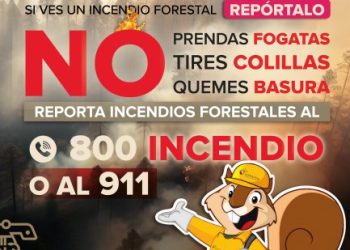 Hombre recibe balazo en Región 212 tras intentar buscar pleito en Cancún