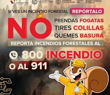 Hombre recibe balazo en Región 212 tras intentar buscar pleito en Cancún